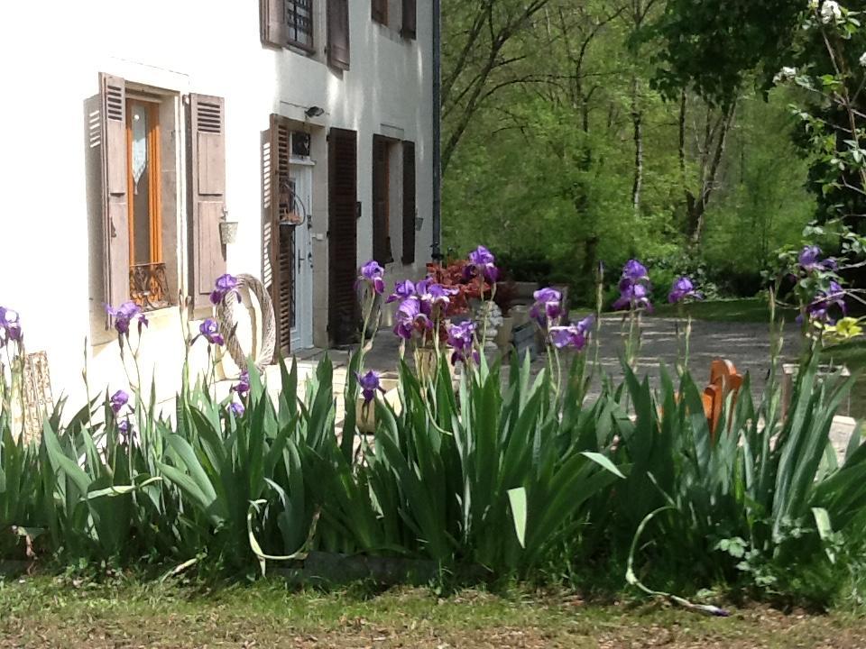 Bed and Breakfast Domaine La Rose Caylus Екстер'єр фото